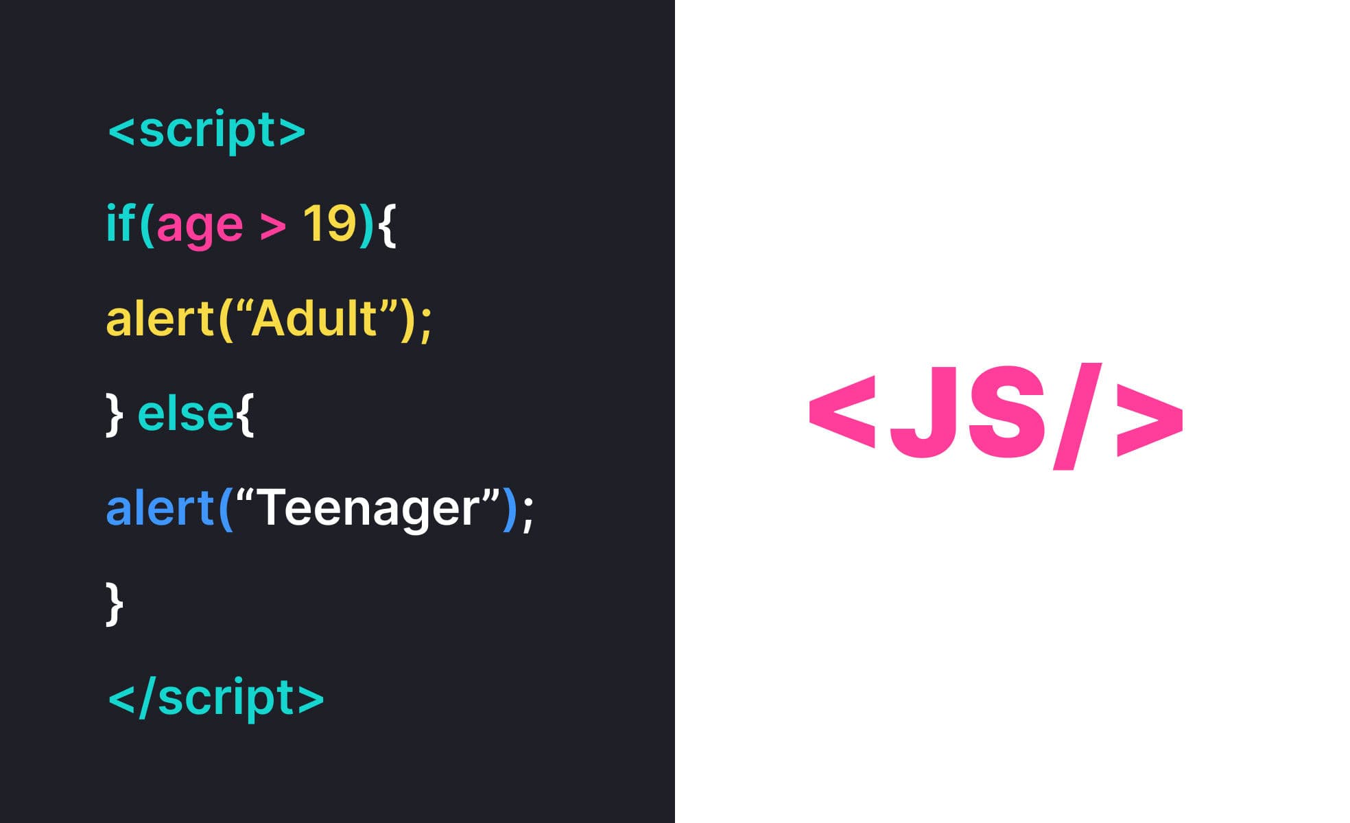 JavaScript